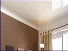 Panouri de tavan din PVC alb